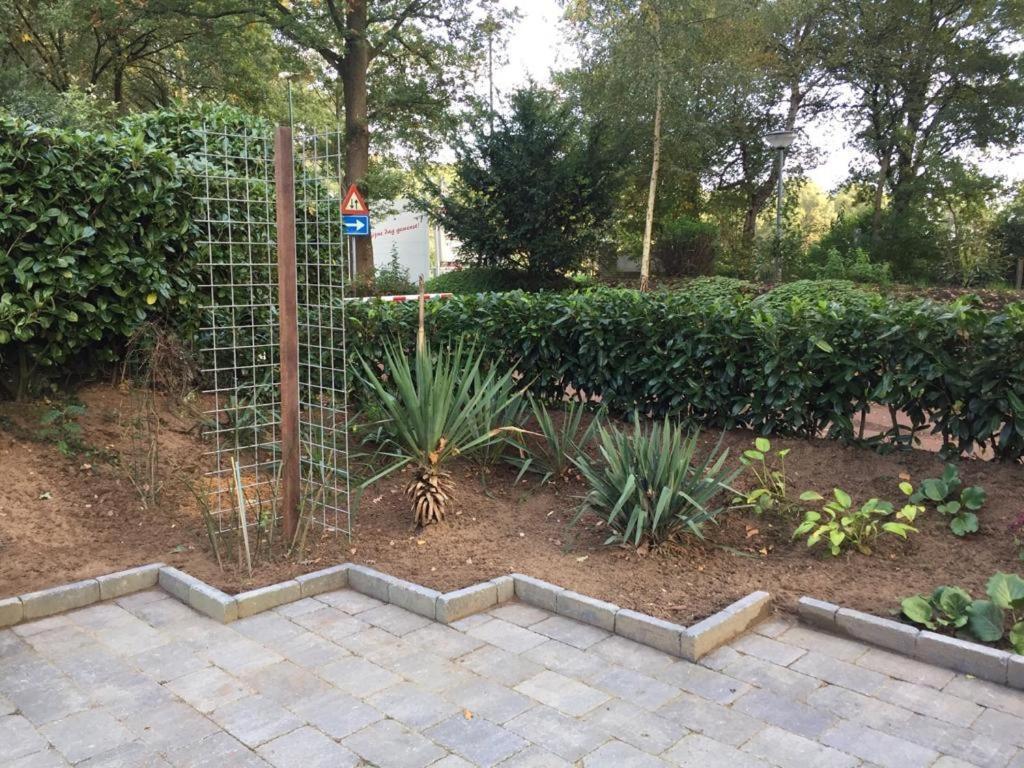 Rumah Kita, Bungalow Met 2 Slaapkamers In Het Mooie Drenthe Erm エクステリア 写真